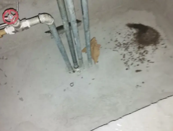 丹寨卫生间测漏水价格明细