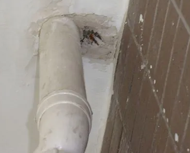 丹寨漏水检测哪家好